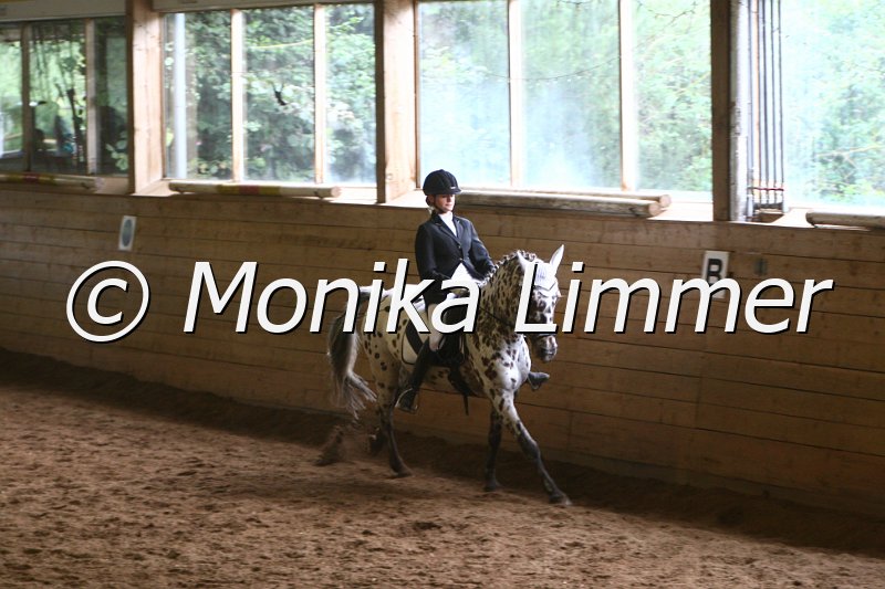 007L8573_Dress reiter WB.JPG